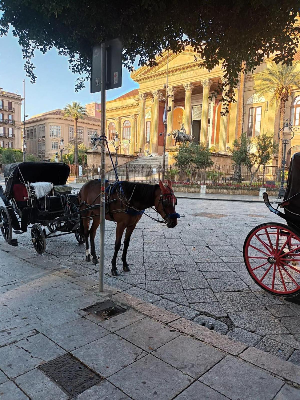 Casa Terramare Lejlighed Palermo Eksteriør billede